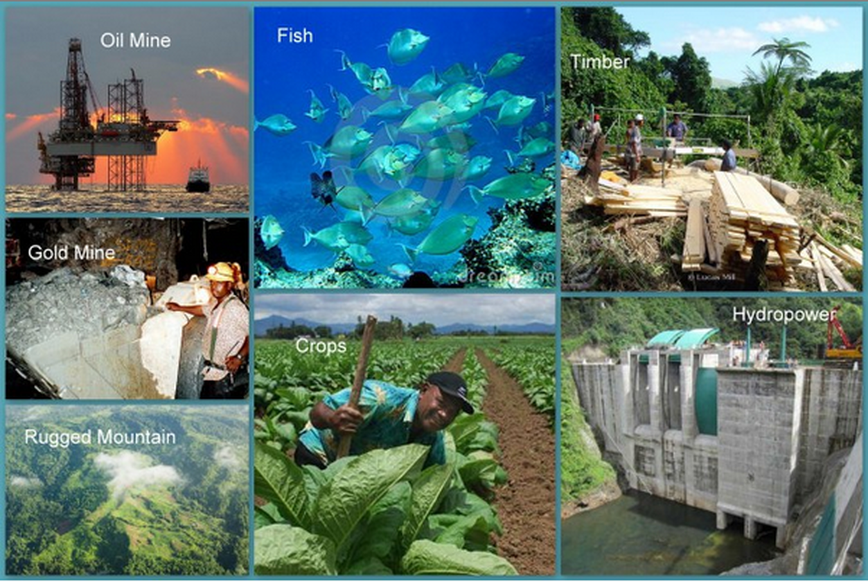 Environment Fiji